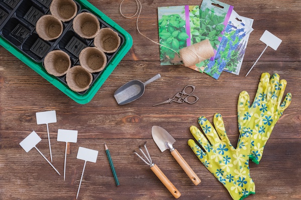 seed-starting